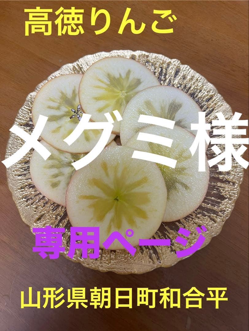 メグミさん専用　高徳10K