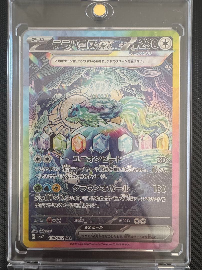 テラパゴスex SR 230HP ポケモンカード