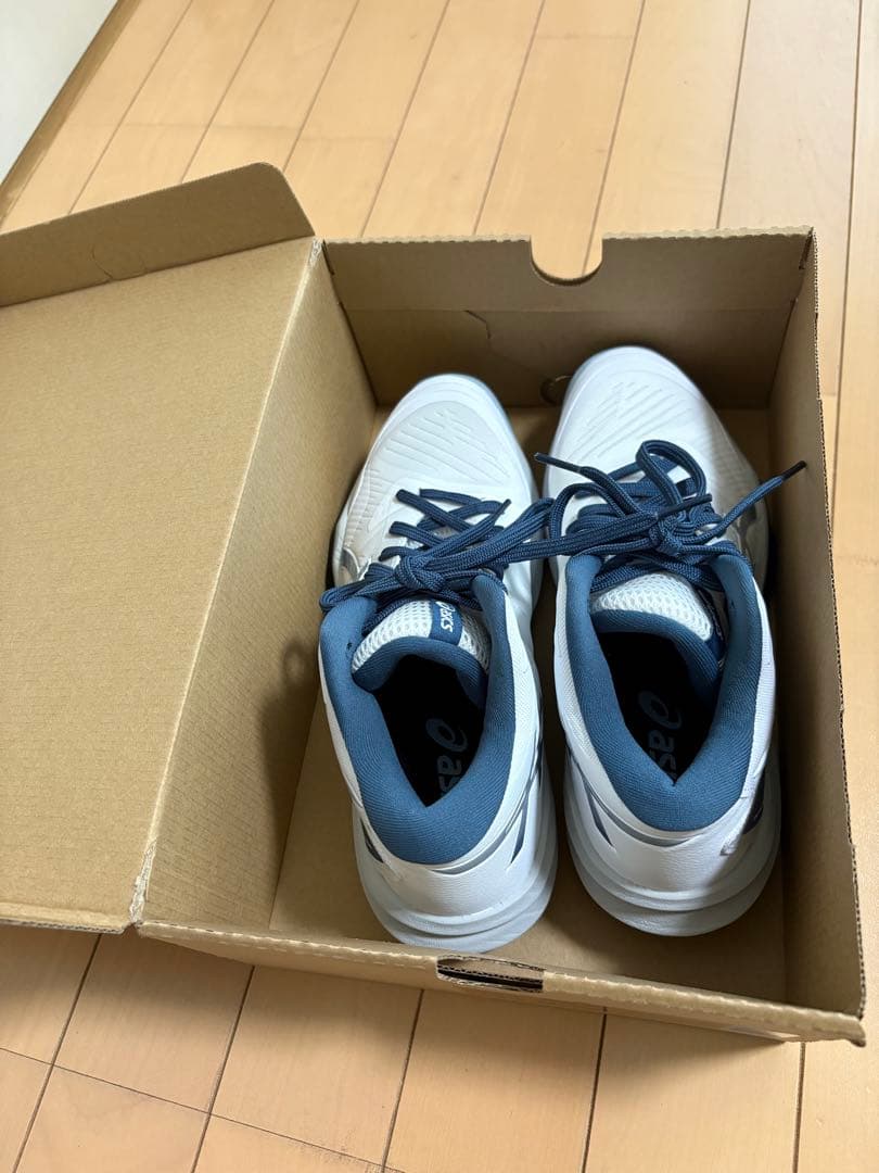 バレーボールシューズ　24.5