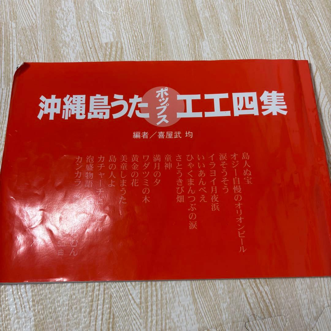 沖縄三線 人工皮 蛇柄 弦楽器 教本 バチ ケース付き 入門　初心者向