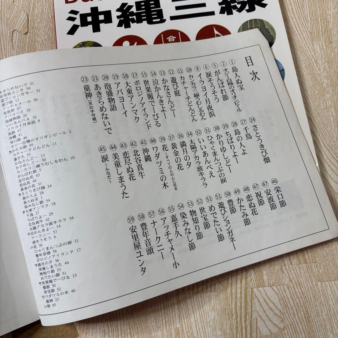 沖縄三線 人工皮 蛇柄 弦楽器 教本 バチ ケース付き 入門　初心者向