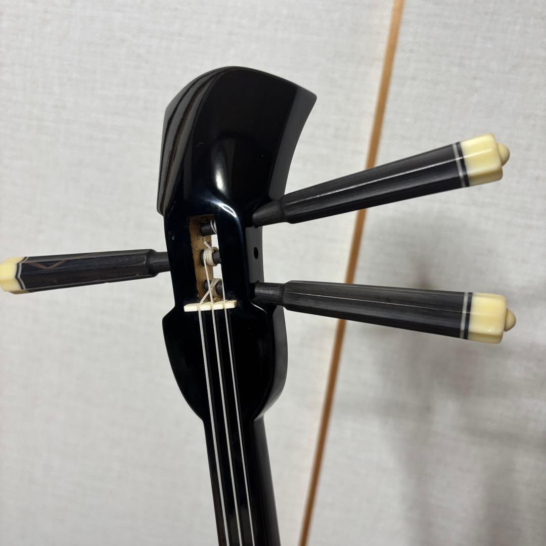 沖縄三線 人工皮 蛇柄 弦楽器 教本 バチ ケース付き 入門　初心者向