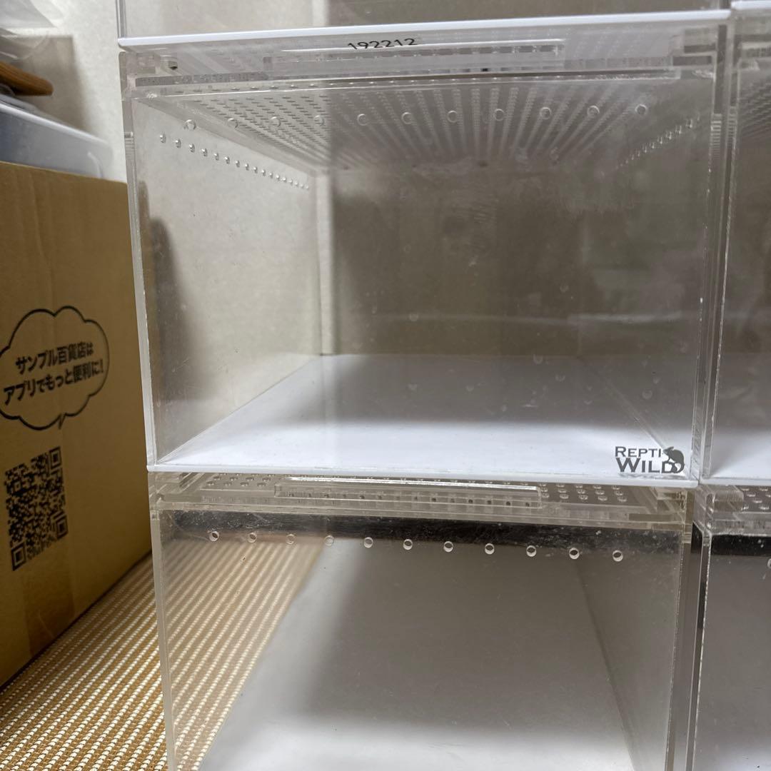 レプタイルボックス(三晃商会SANKO)8個セット