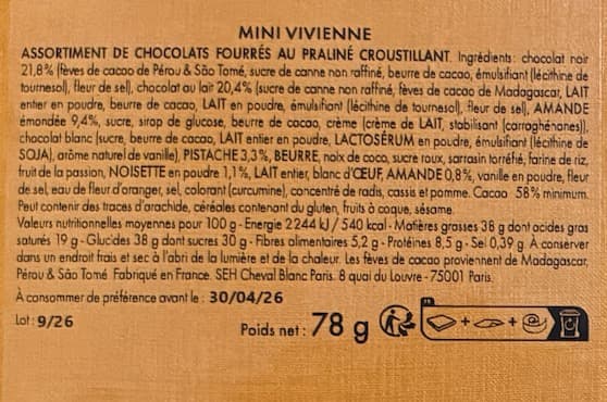 Louis Vuitton ミニヴィヴィエンヌ チョコ