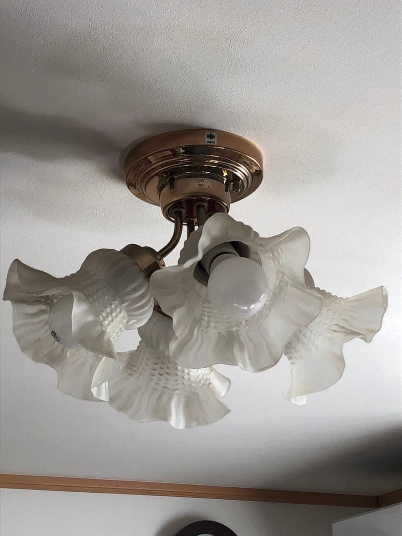 フラワー型ガラスシェードシャンデリア