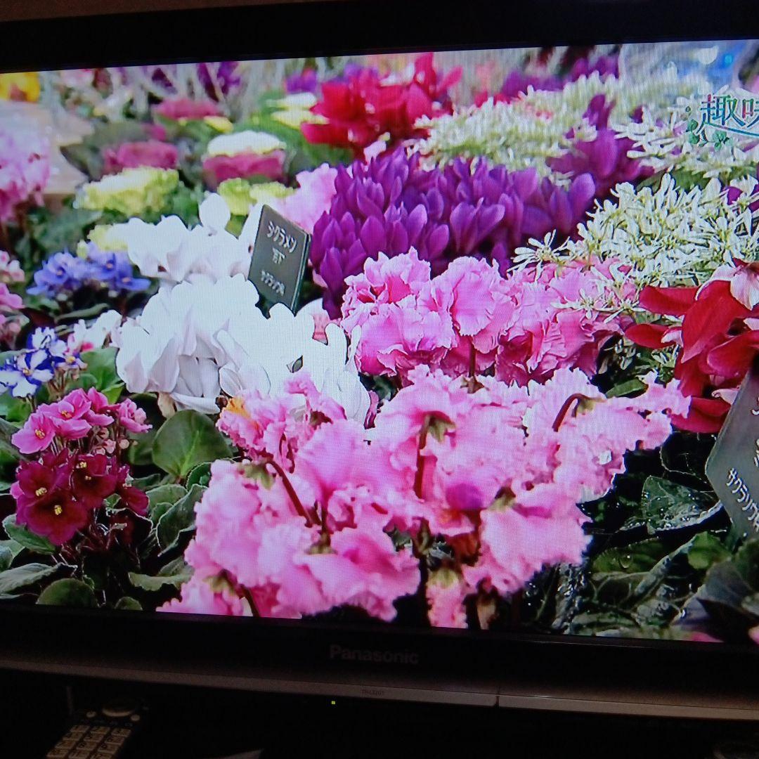 SONY BDZ RX100 2TB 2番組録画