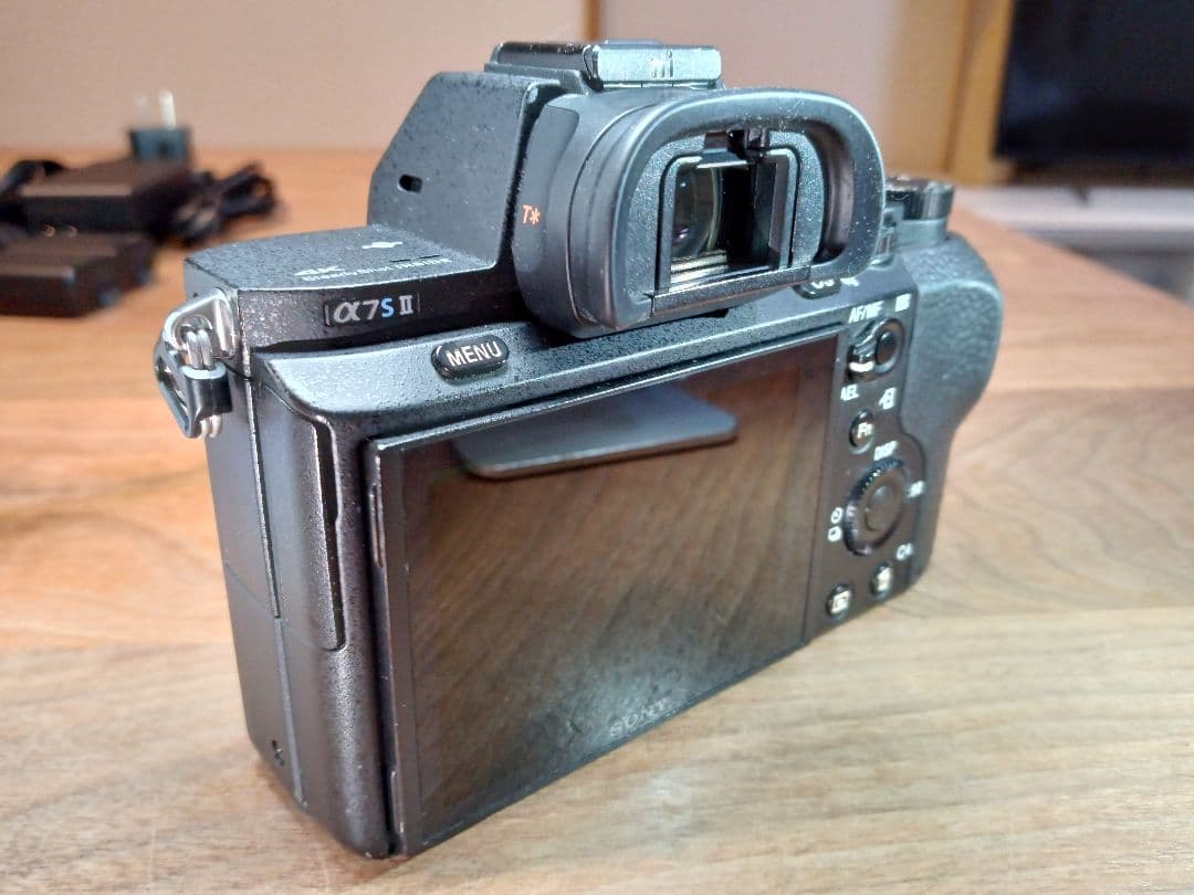 最終価格 S数：2815回【センサー清掃済】SONY ILCE-7SM2 ボディ