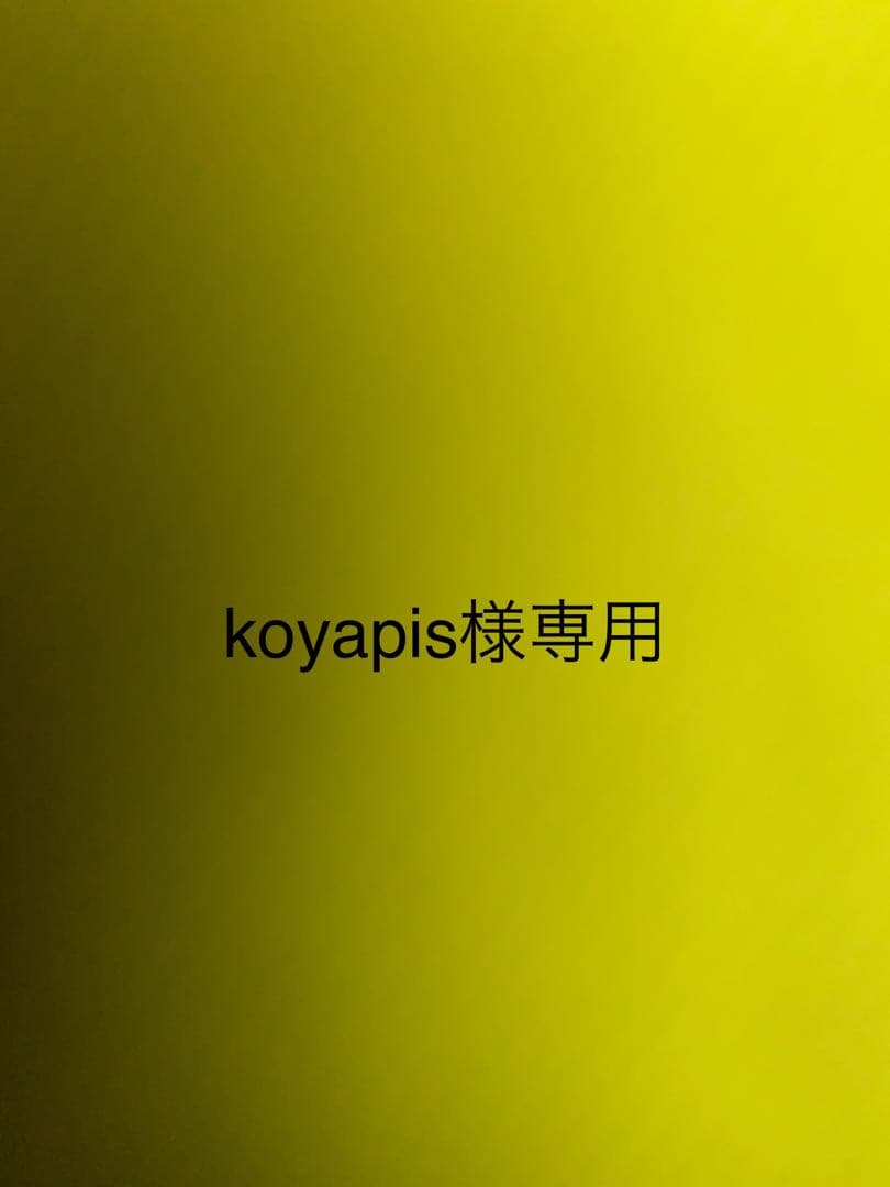 koyapissidas インナー サーモライナー CRT 26.5