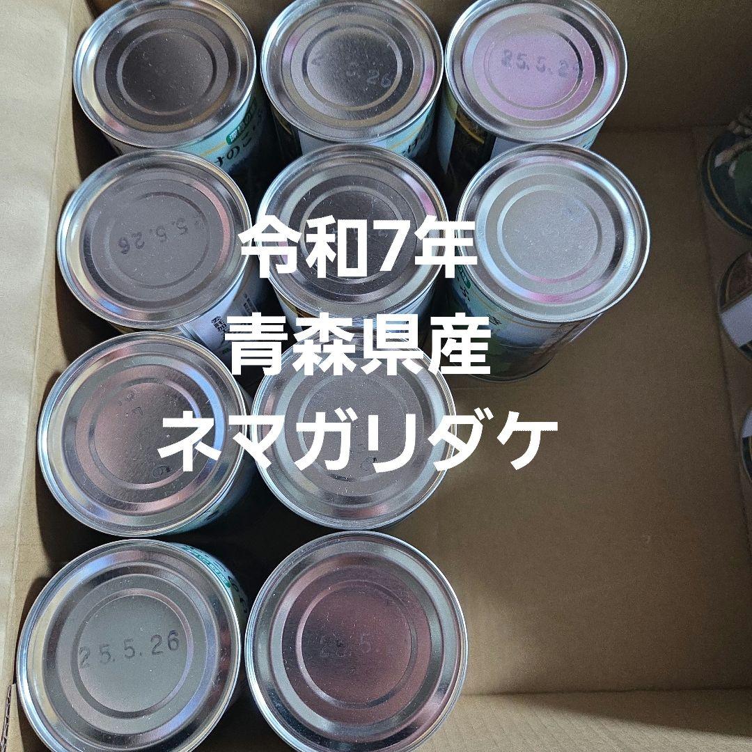 青森県産　ネマガリダケ　根曲がり竹