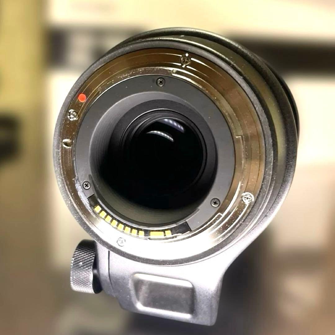 と*り様 SIGMA 150-600mm F5-6.3 DG 超望遠レンズ メン