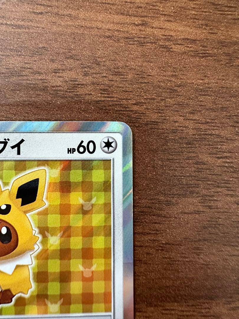 ポンチョを着たイーブイ(サンダース)