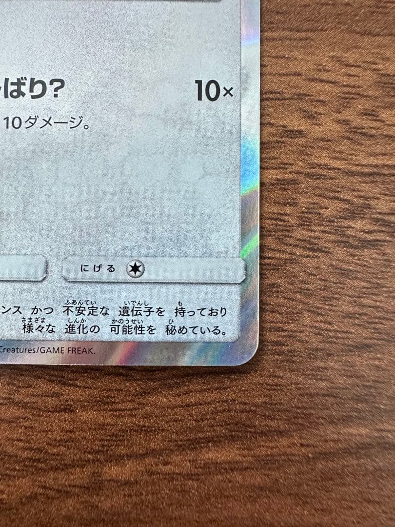 ポンチョを着たイーブイ(サンダース)