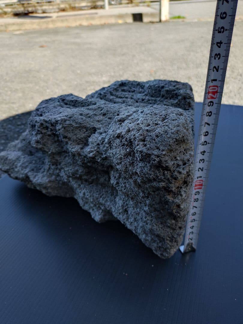 ADA 雲山石 XL 穴3個 水槽 レイアウト石 水槽レイアウト 水槽用石