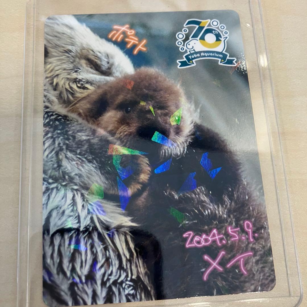 鳥羽水族館 コレクションカード メイ レア