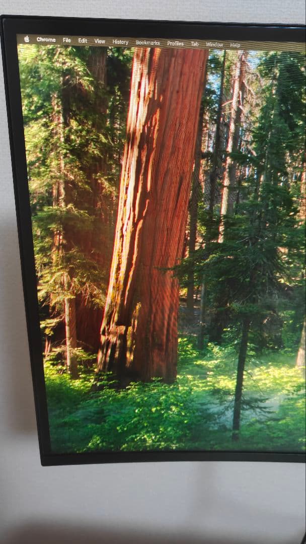 北*ー様 LG UltraGear 34GN850-B 34インチ DP 1.4