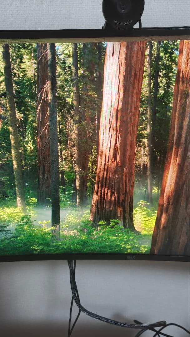 北*ー様 LG UltraGear 34GN850-B 34インチ DP 1.4