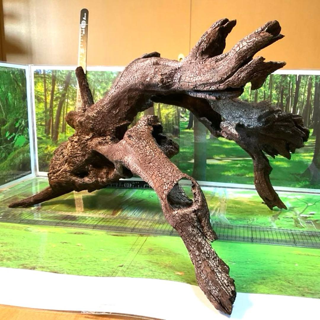 けすけ様　ご提案用　天然水槽用流木　沈水確認済み