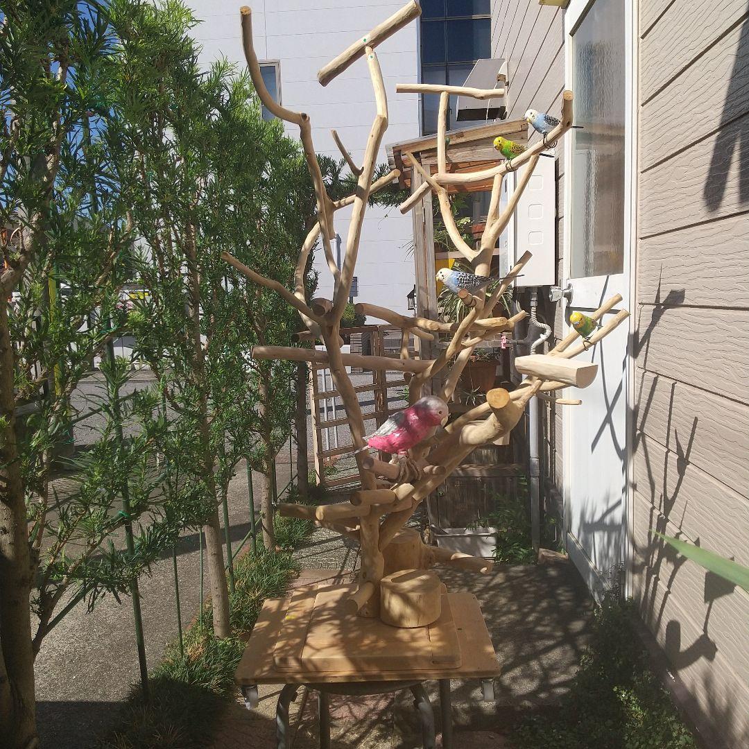 インコバードアスレチック楽園シリーズ③キャスター付きその❷完成品