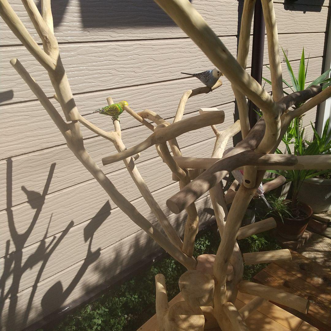 インコバードアスレチック楽園シリーズ③キャスター付きその❷完成品