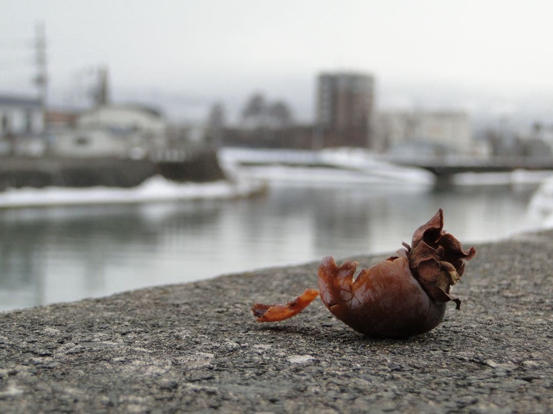 動作確認済 ネオ一眼Sony CyberShot DSC-HX1 付属品セット