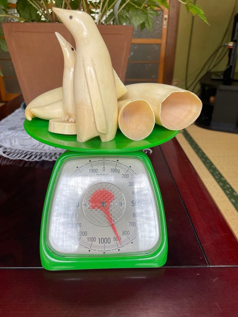 シ*ャ様 極希少マッコウクジラの歯、置物トータル830g 6点