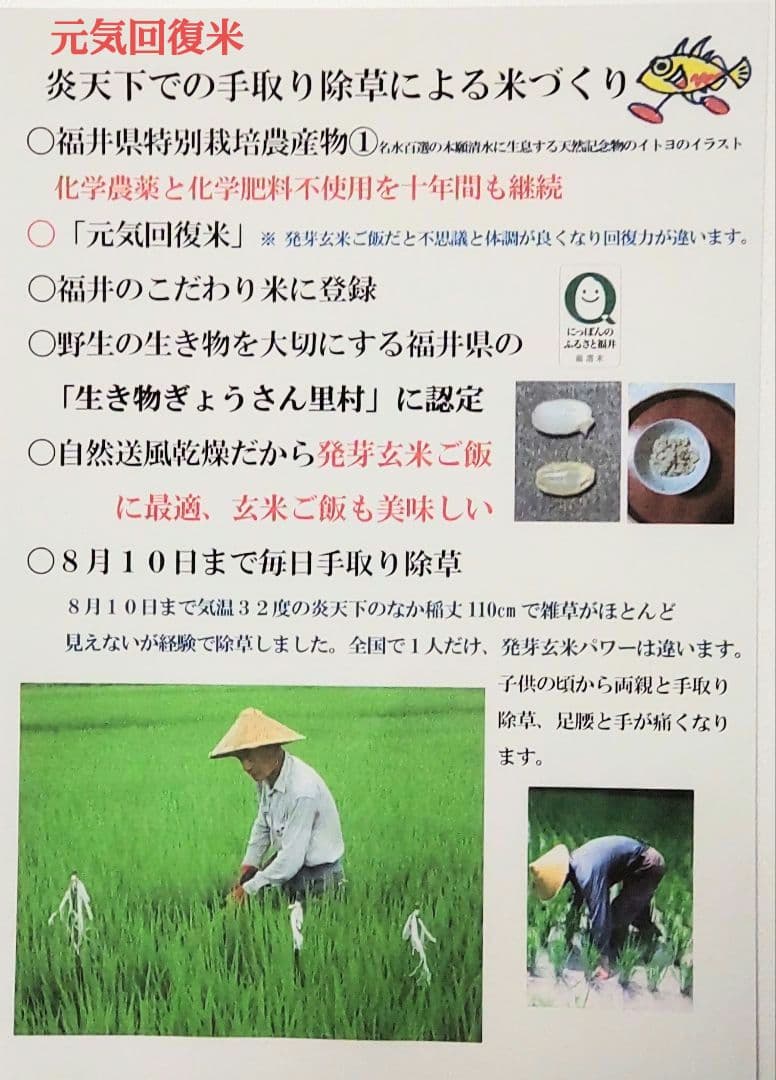 体に負担をかけない米づくり 玄米10kg ７年産コシヒカリ 特栽① 農薬等不使用