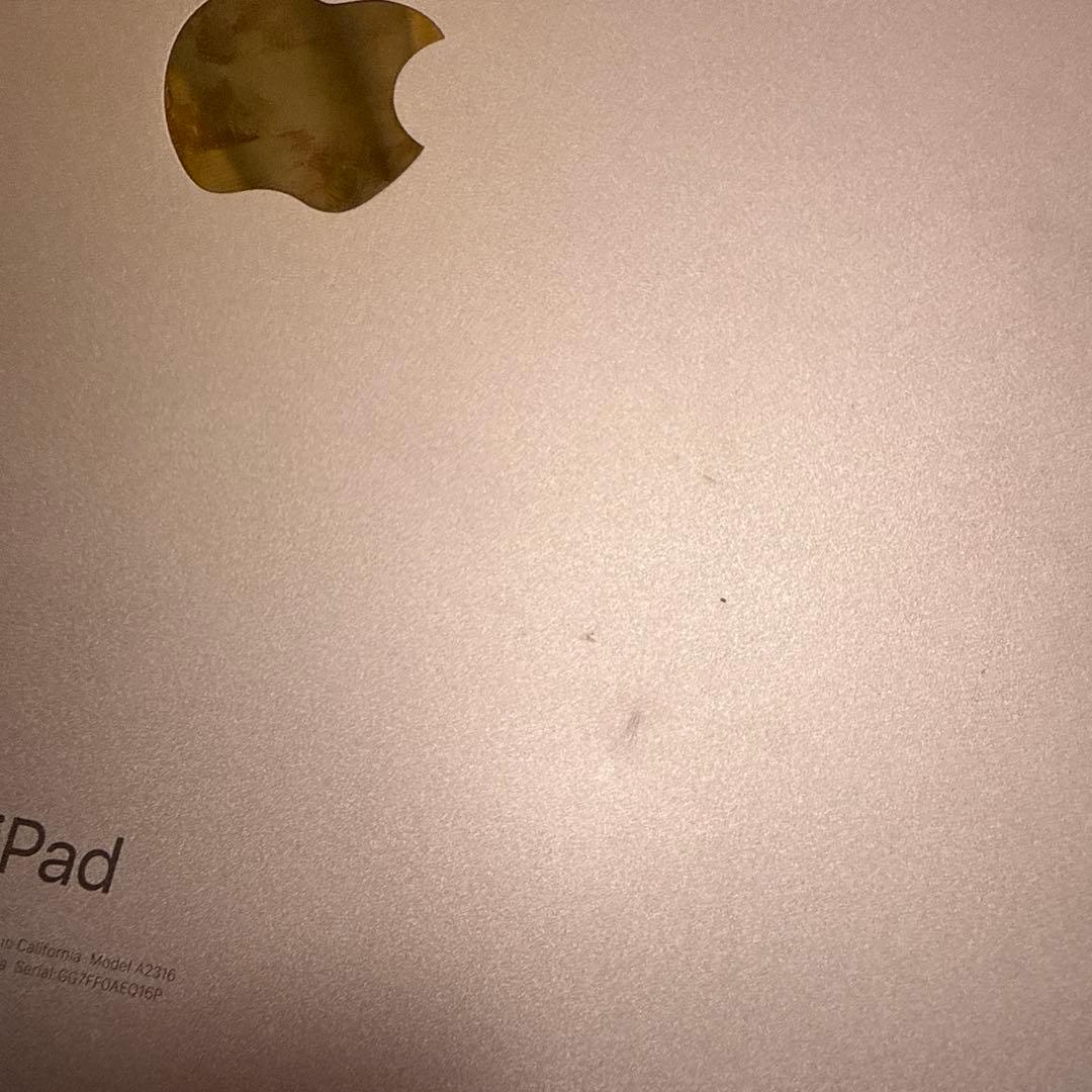 Apple iPad 本体 AIR４ ローズゴールド
