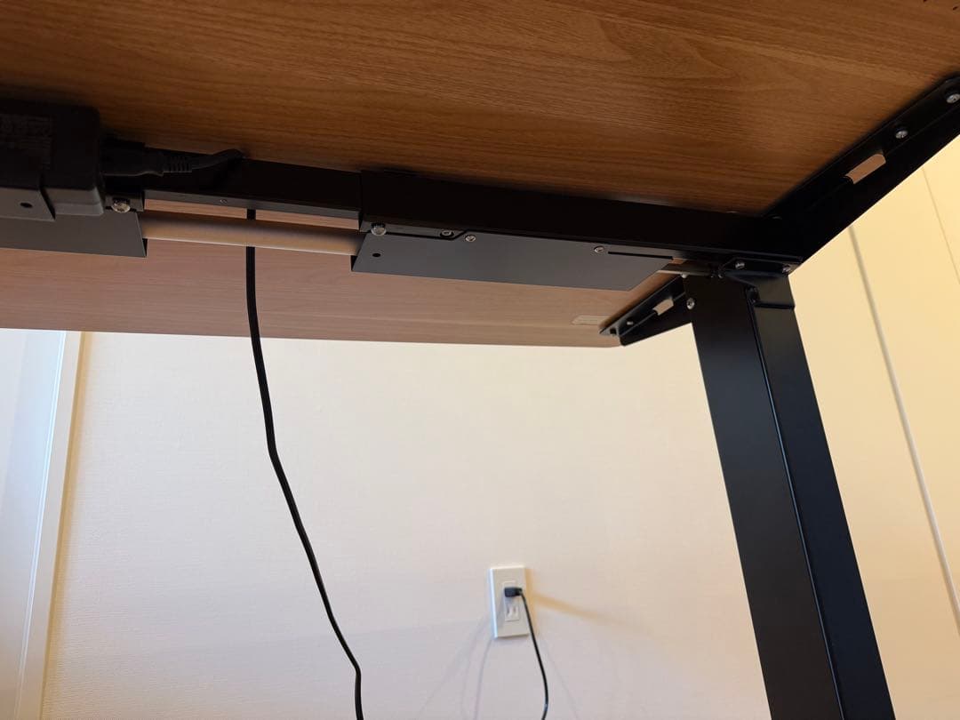 Flexispot 電動昇降スタンディングデスク・脚フレーム EG1天板セット