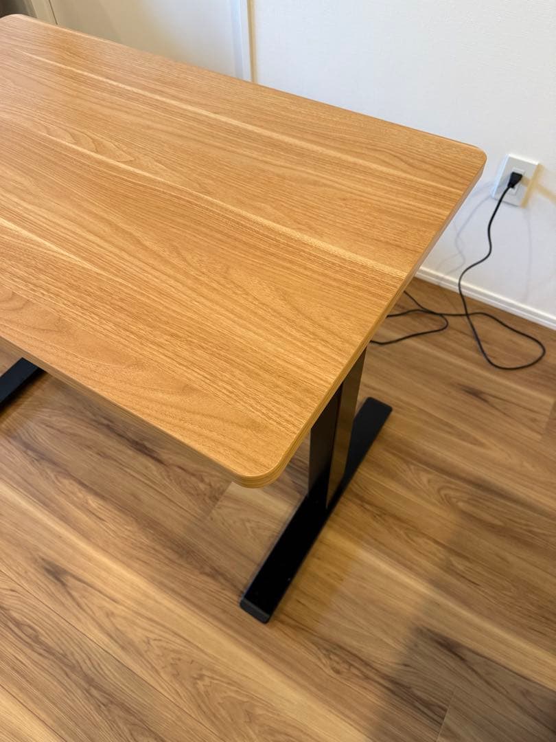 Flexispot 電動昇降スタンディングデスク・脚フレーム EG1天板セット