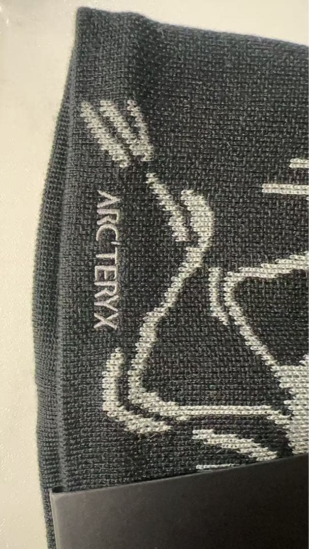ARC'TERYX Bird Head Toque ビーニー