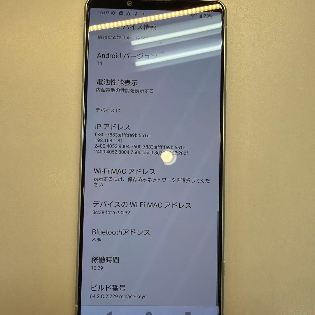 訳あり SONY Xperia 10 IV SO-52C 128GB 画面焼け小