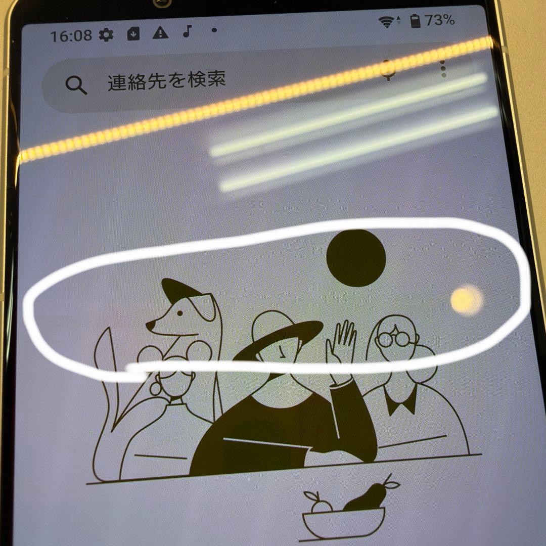 訳あり SONY Xperia 10 IV SO-52C 128GB 画面焼け小