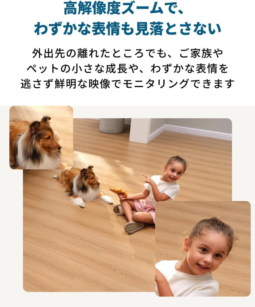 Anker Eufy Security IndoorCam S350 防犯カメラ