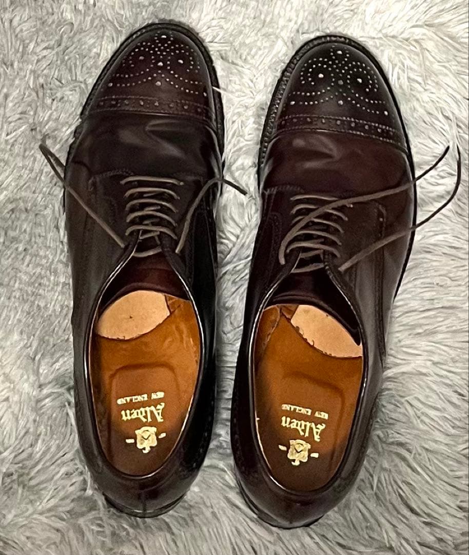 オールデン Alden コードバン、バーガンディ、モディファイドラスト、7.0D