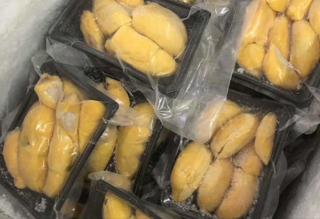 冷凍モントーンドリアン 金枕榴蓮 500g×12Pセット