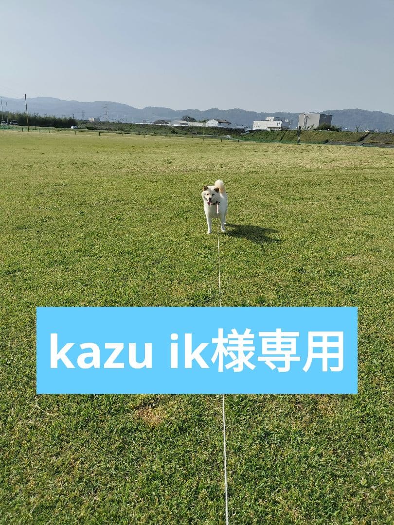kazu ik　てんたかく