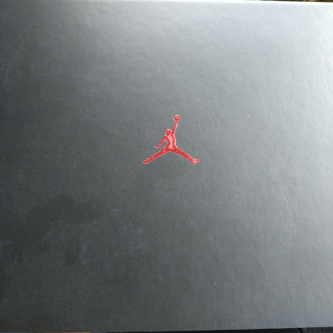 新品未使用　ジョーダン４０ シカゴ