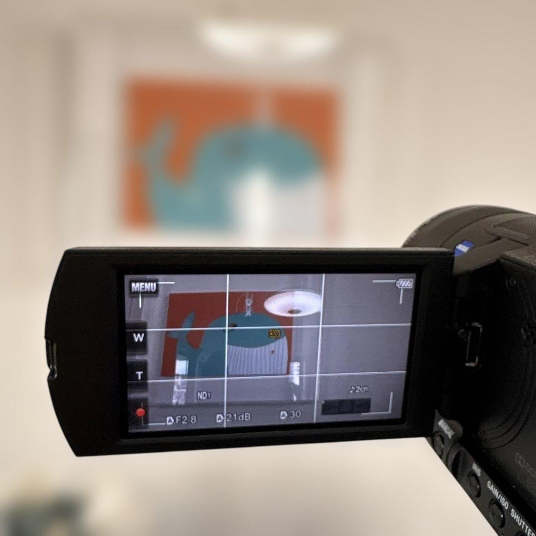 SONY 4K Handycam 本体 FDR-AX100