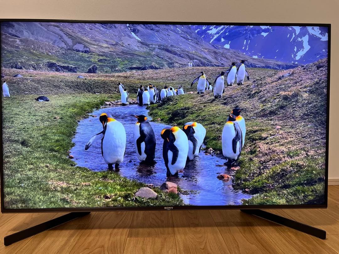 SONY 49インチ 4K液晶テレビ KJ-49X9500H 2021年製