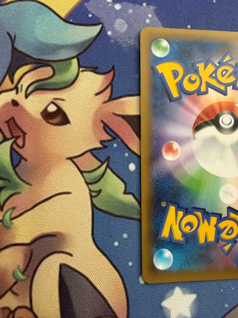 ブラッキー プロモカードパック 25th ANNIVERSARY