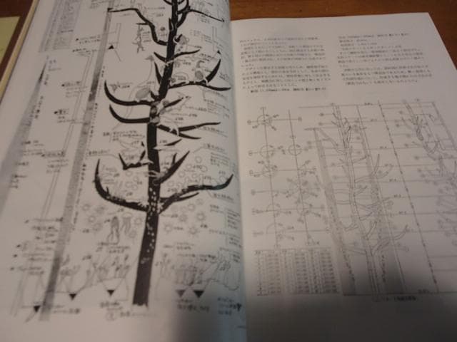 【EXPO'70の建築―パビリオン・基幹施設の計画と工法 】工業調査会