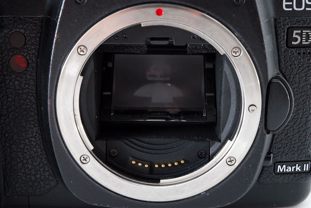 デジタル一眼レフカメラCanon EOS ５D mark IIダブルレンズセット
