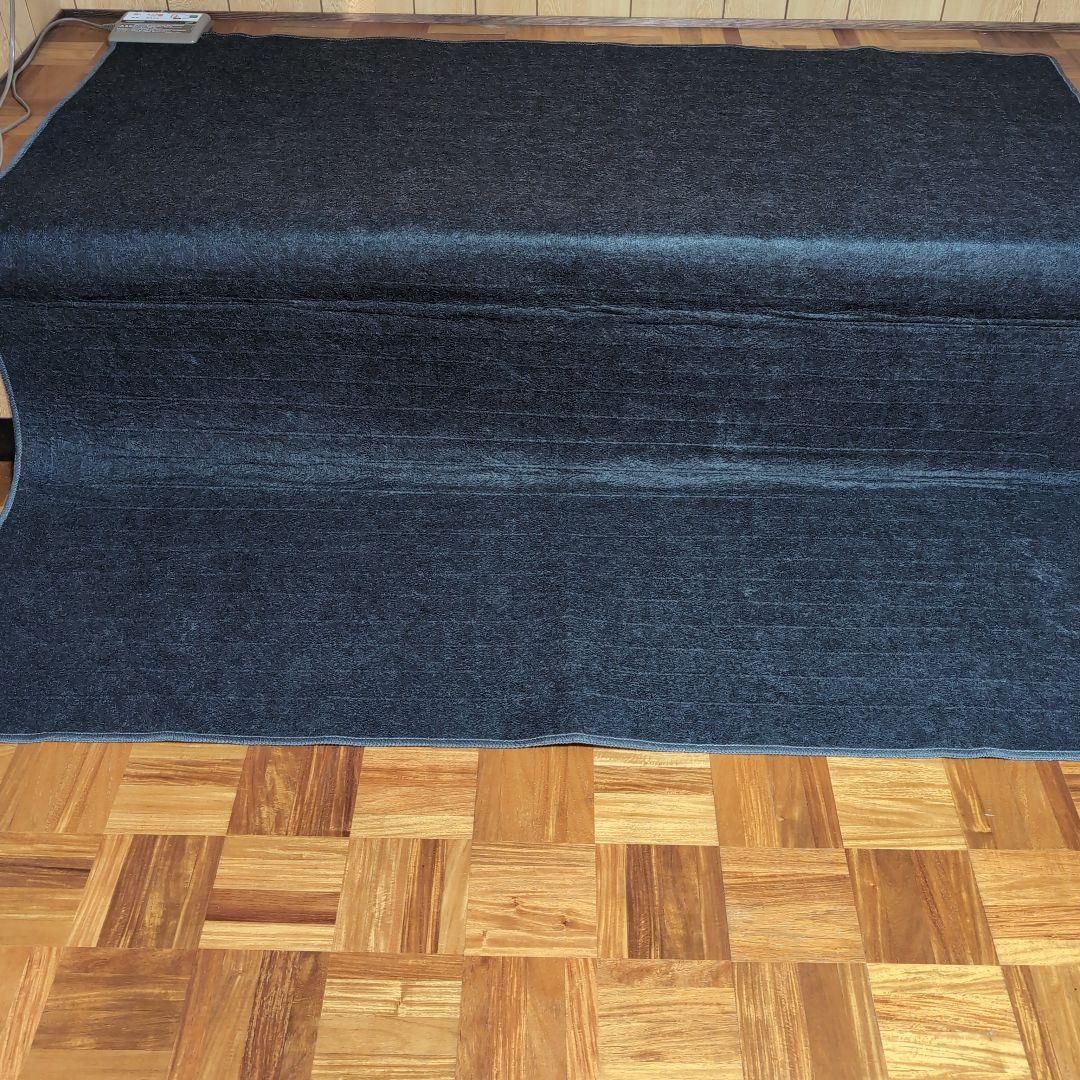 Panasonic DC-2NK ホットカーペット