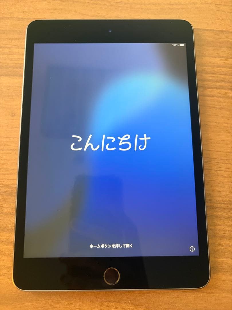 Apple iPad mini 第5世代 64GB Wi-Fi スペースグレー