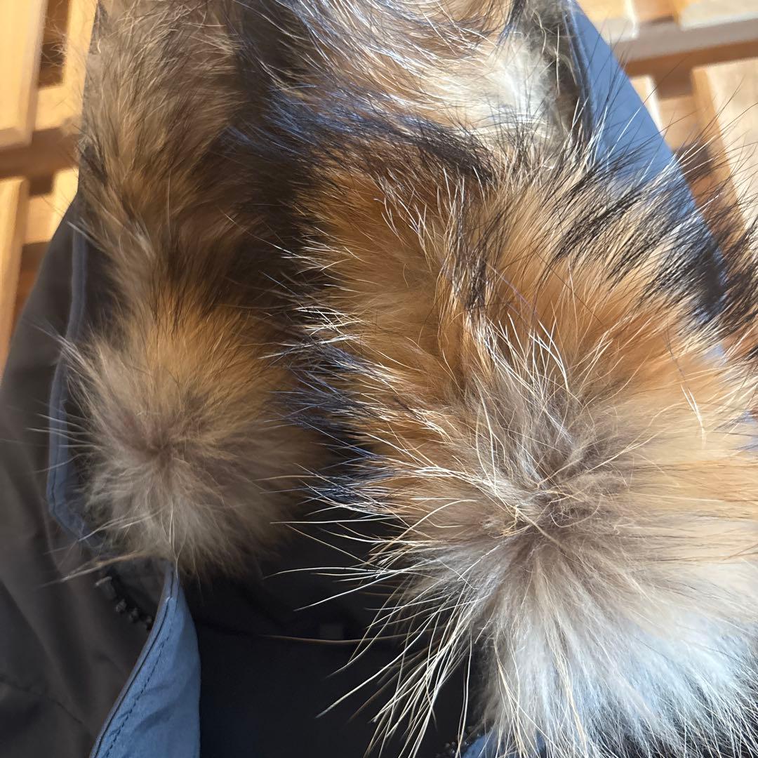 ファーフーデッドダウンジャケット　ダントン　38