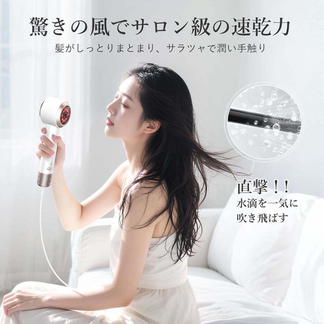 【美品】ANLAN ダブルケアドライヤー MATE ドライヤー 速乾 大風量