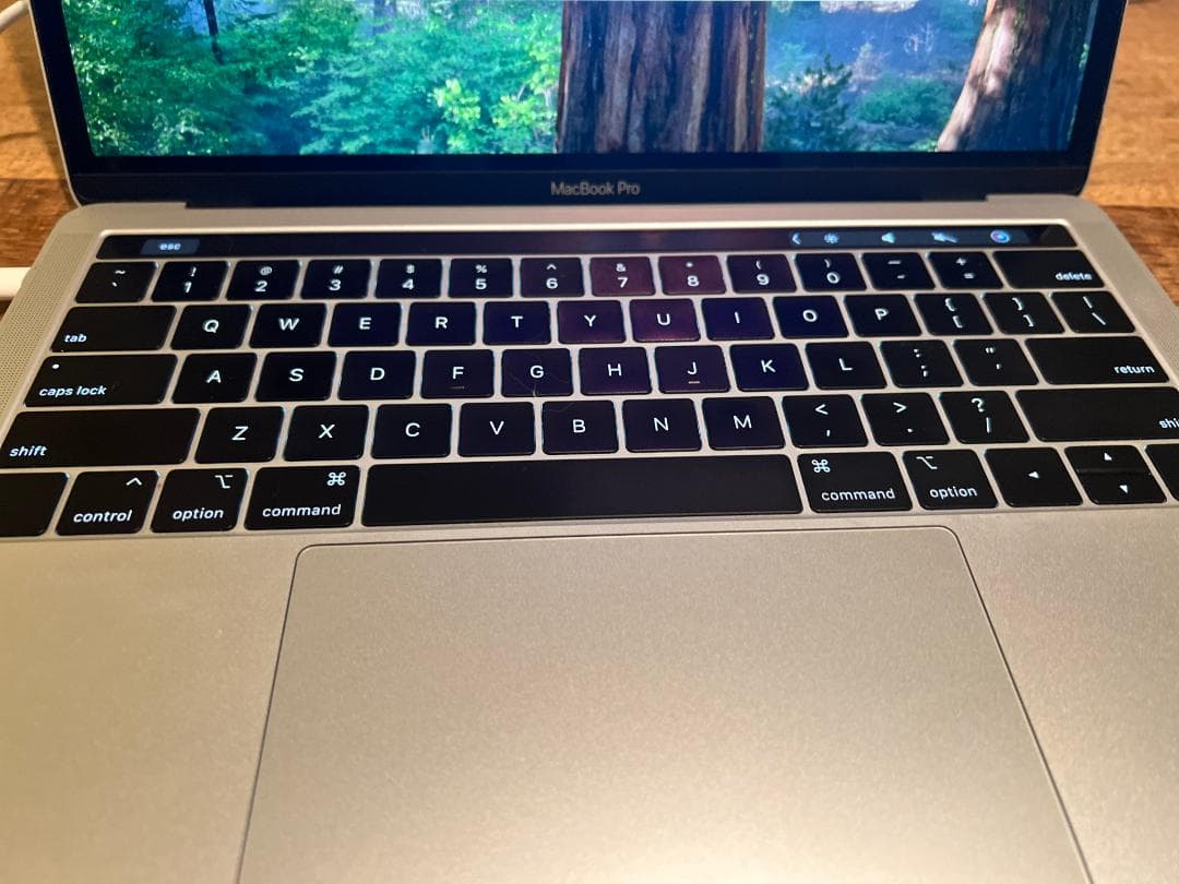 [美品] Apple MacBook Pro 13インチ 2018 A1989