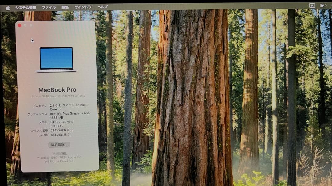 [美品] Apple MacBook Pro 13インチ 2018 A1989