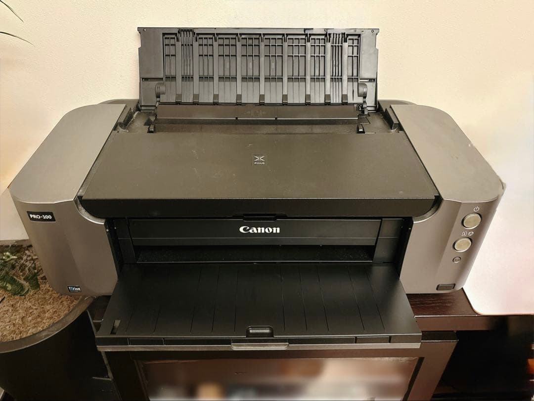 Canon PIXUS PRO-100 インクジェットプリンター　動作確認済