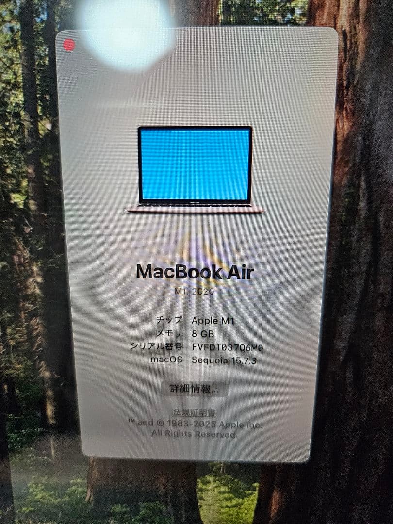 MacBook Air M1 8GB 13インチ 512GB ゴールド